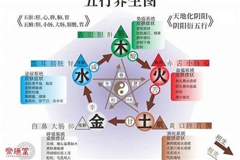 五行金旺缺火